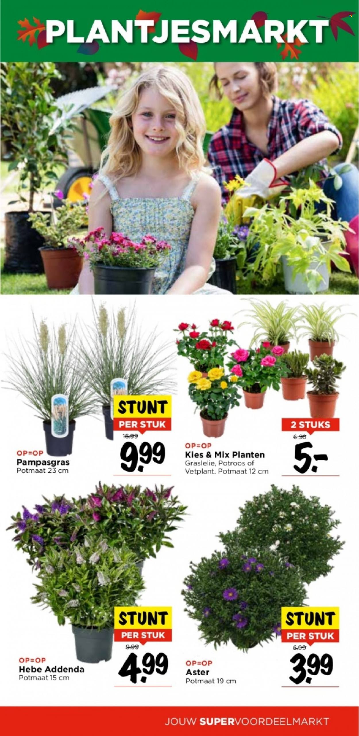 Vomar-aanbieding - 3-9-2023 - 9-9-2023. Pagina 25