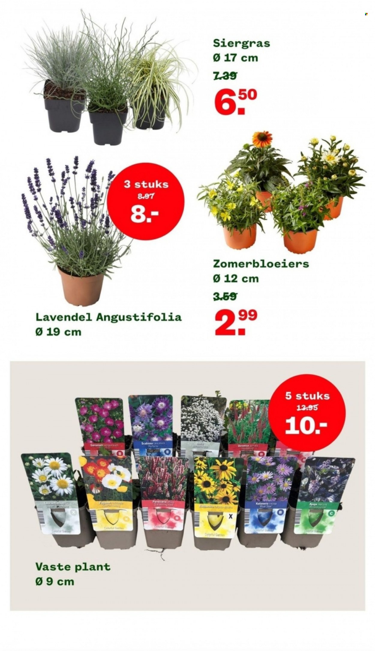 Welkoop-aanbieding - 4-9-2023 - 24-9-2023. Pagina 6