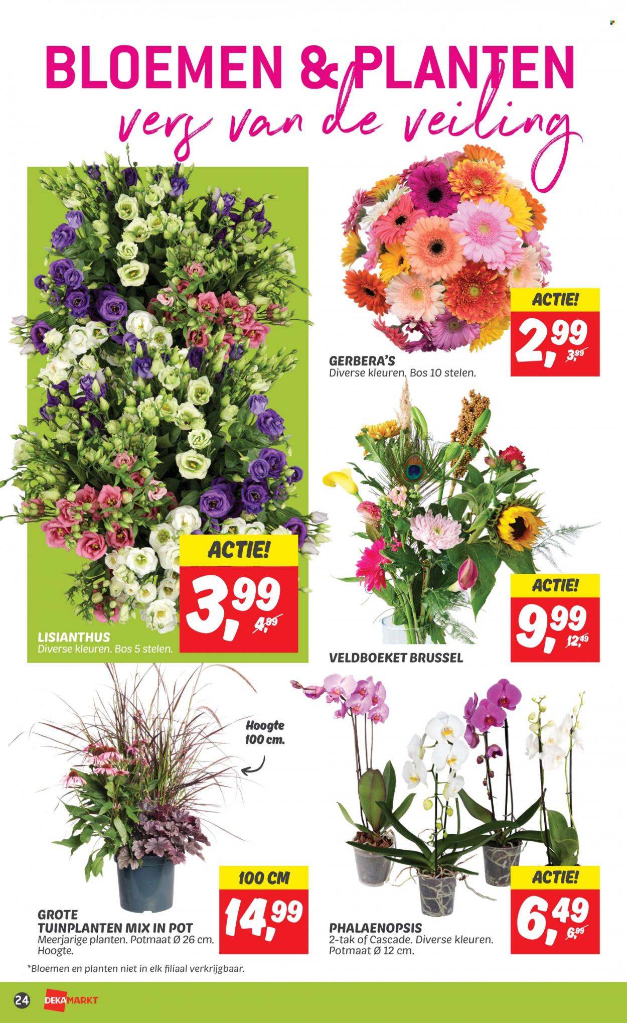 DekaMarkt-aanbieding - 10-9-2023 - 16-9-2023. Pagina 24
