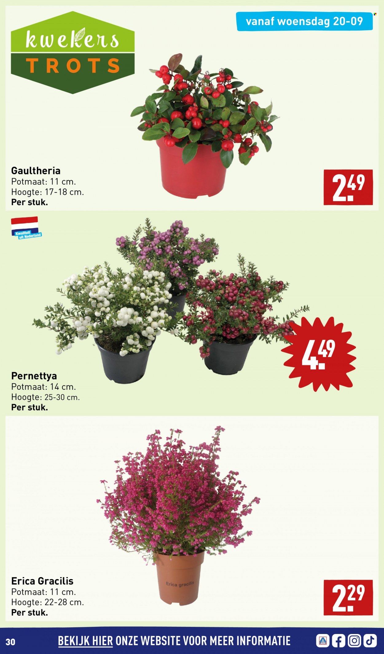 Aldi-aanbieding - 18-9-2023 - 24-9-2023. Pagina 30