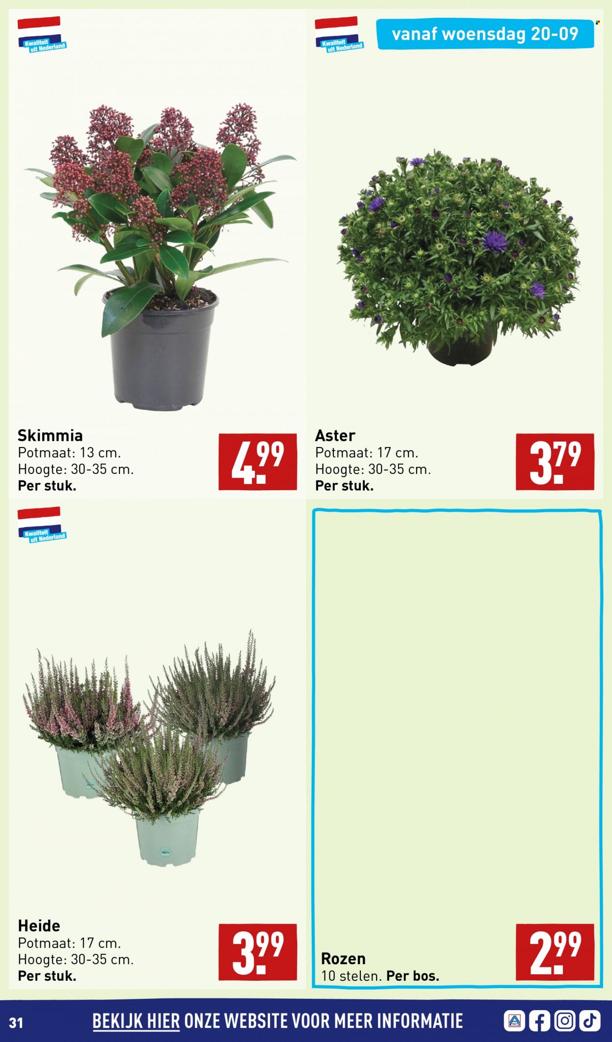 Aldi-aanbieding - 18-9-2023 - 24-9-2023. Pagina 31