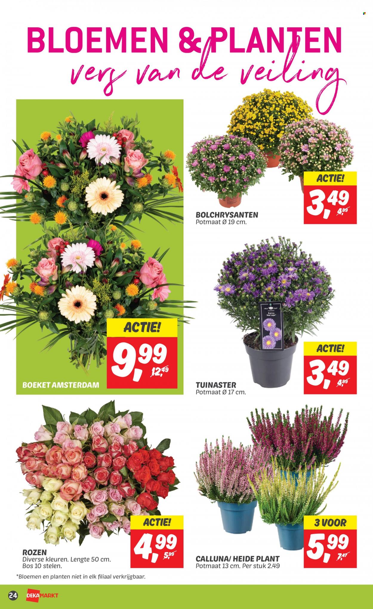 DekaMarkt-aanbieding - 17-9-2023 - 23-9-2023. Pagina 26