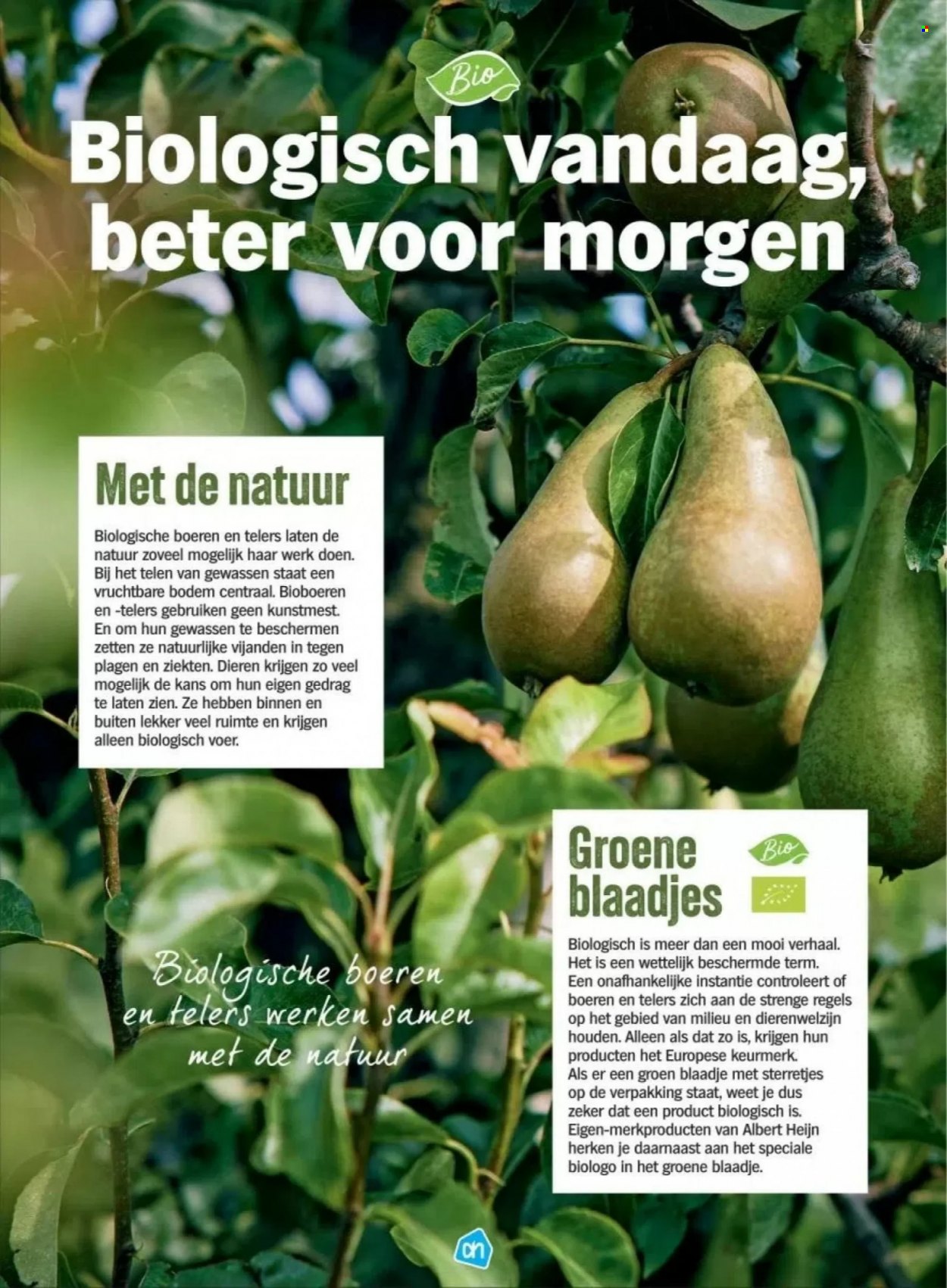 Albert Heijn-aanbieding. Pagina 2