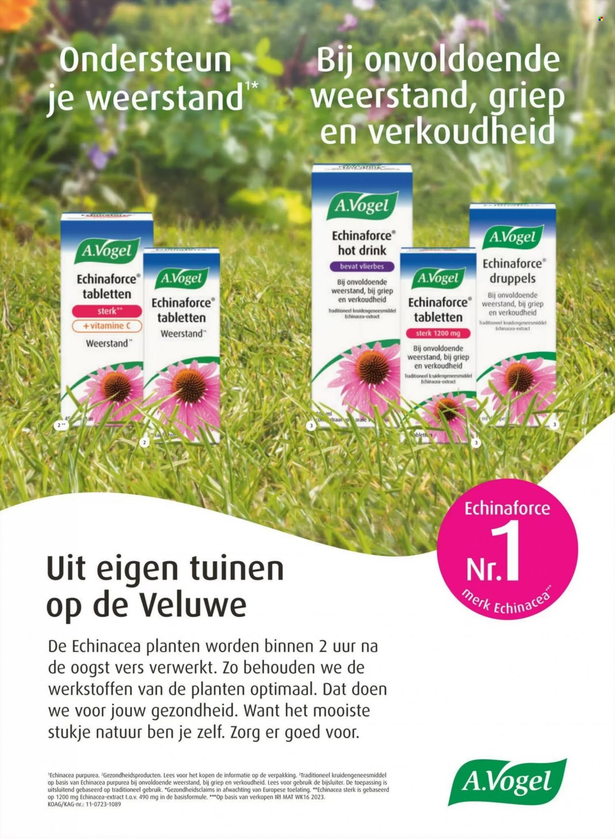 Albert Heijn-aanbieding. Pagina 24