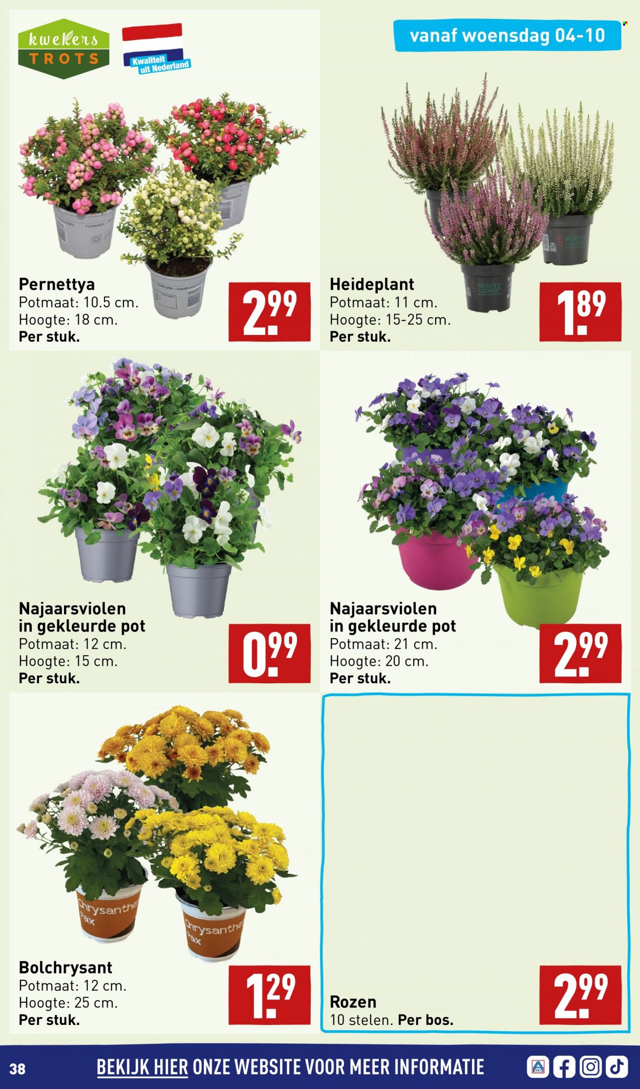 Aldi-aanbieding - 2-10-2023 - 8-10-2023. Pagina 38