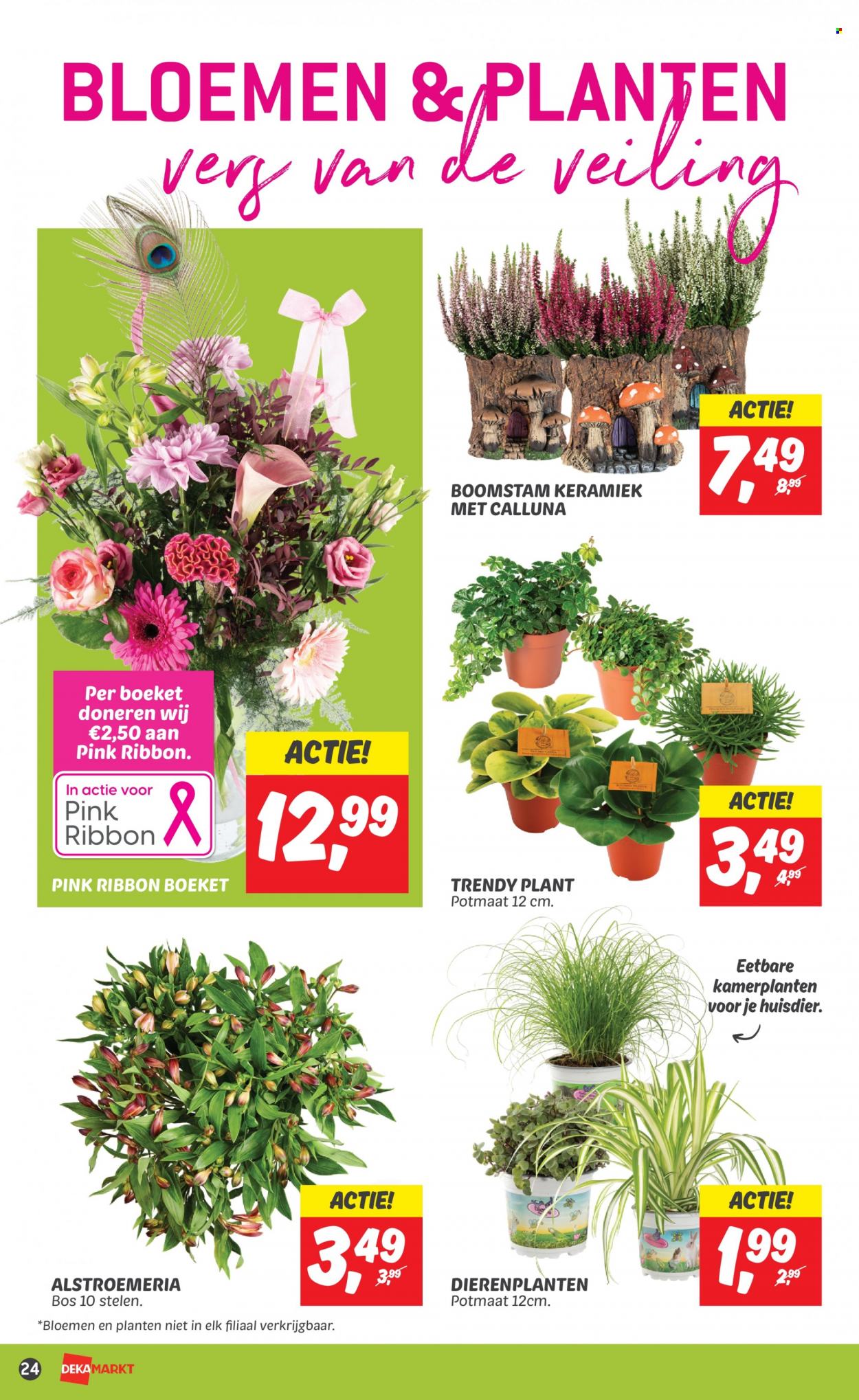 DekaMarkt-aanbieding - 1-10-2023 - 7-10-2023. Pagina 24