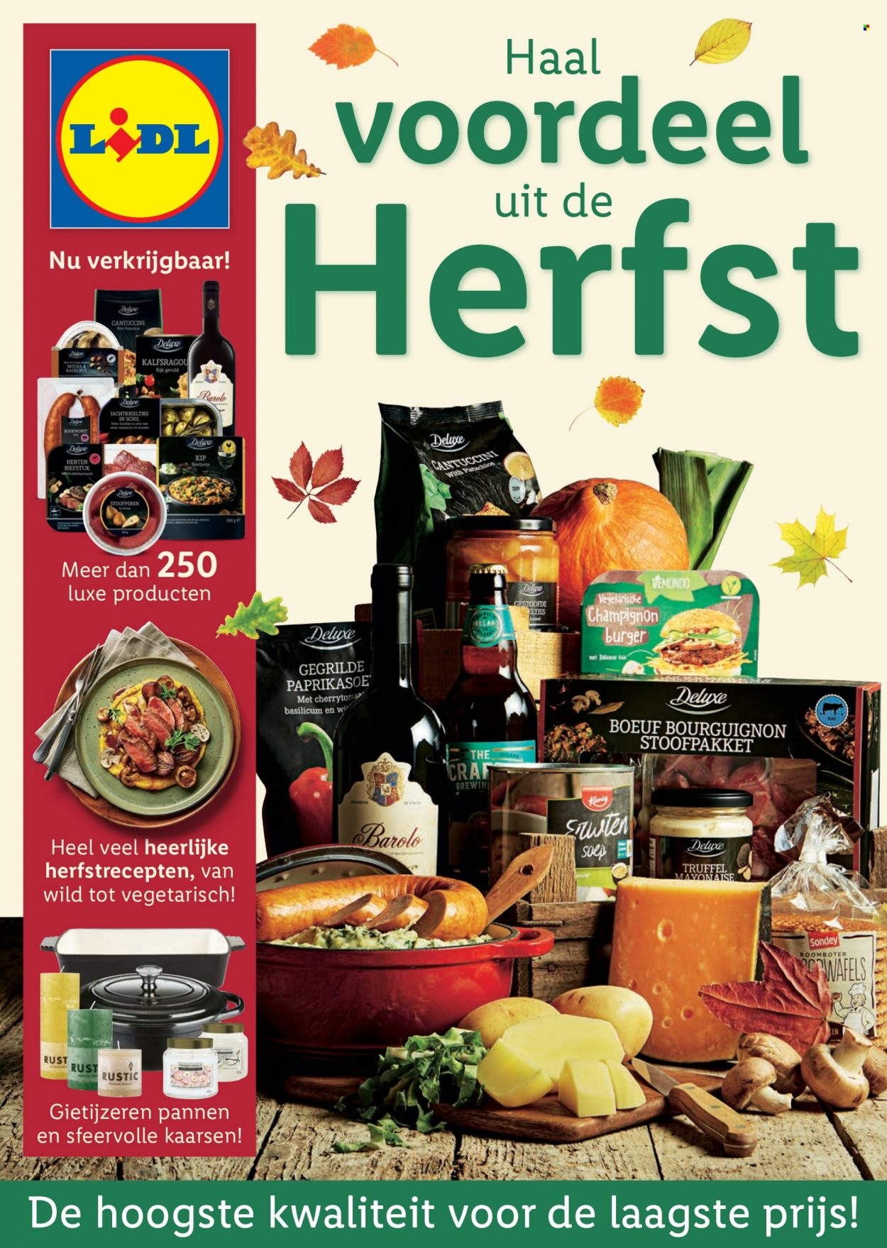 Lidl-aanbieding. Pagina 1