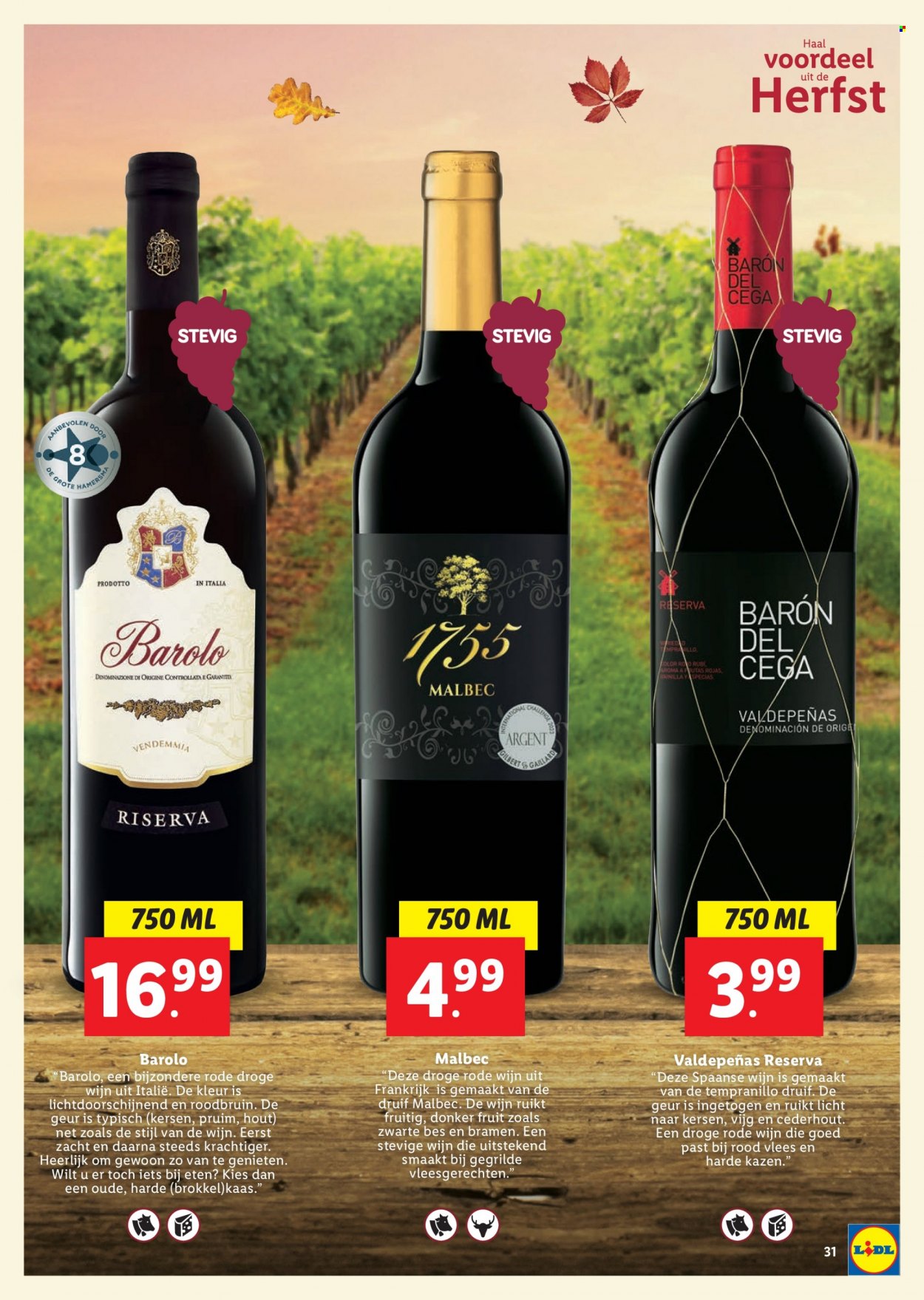 Lidl-aanbieding. Pagina 31