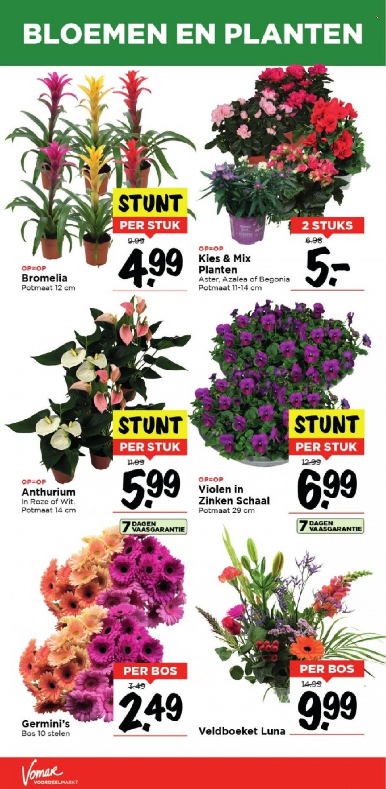 Vomar-aanbieding - 1-10-2023 - 7-10-2023. Pagina 31