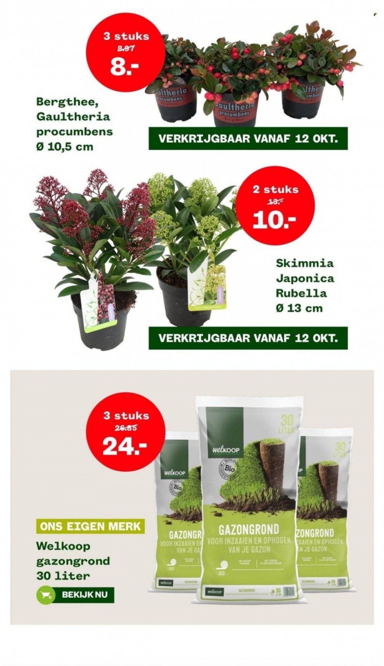 Welkoop-aanbieding - 9-10-2023 - 22-10-2023. Pagina 6