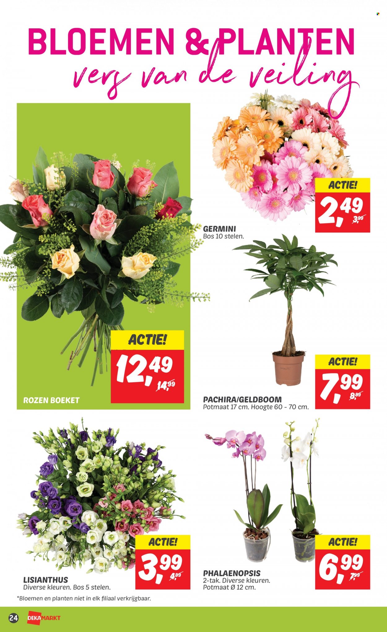 DekaMarkt-aanbieding - 15-10-2023 - 21-10-2023. Pagina 26