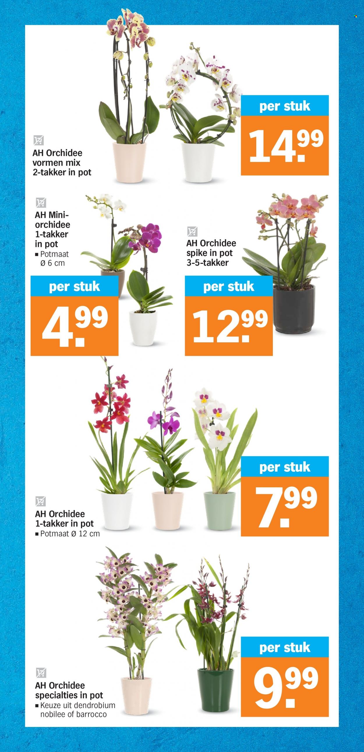 Albert Heijn-aanbieding - 23-10-2023 - 29-10-2023. Pagina 37