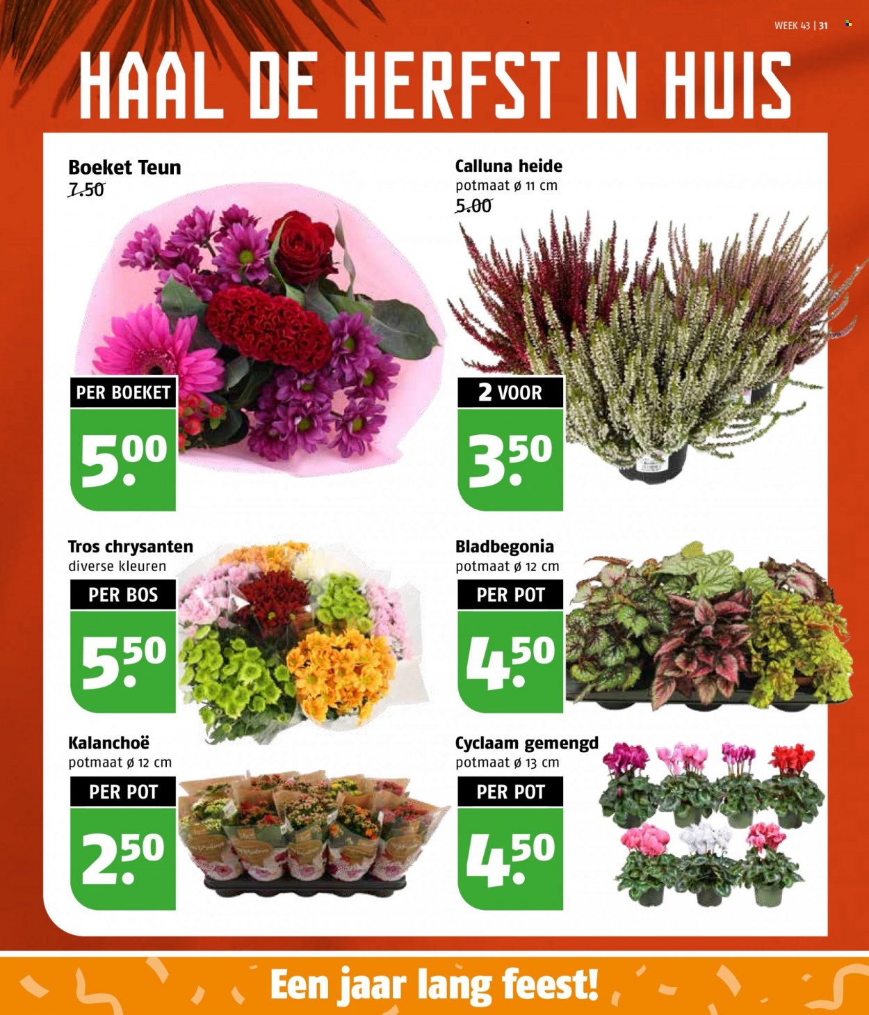 Poiesz-aanbieding - 23-10-2023 - 29-10-2023. Pagina 31