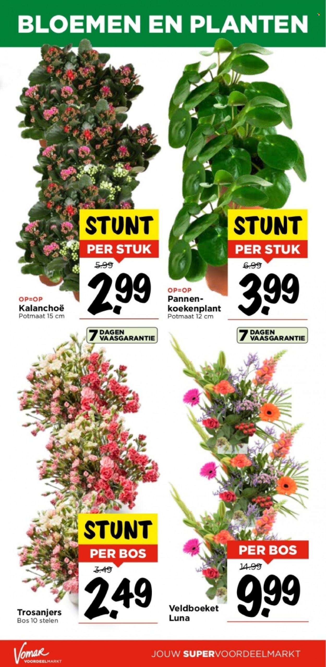 Vomar-aanbieding - 22-10-2023 - 28-10-2023. Pagina 33