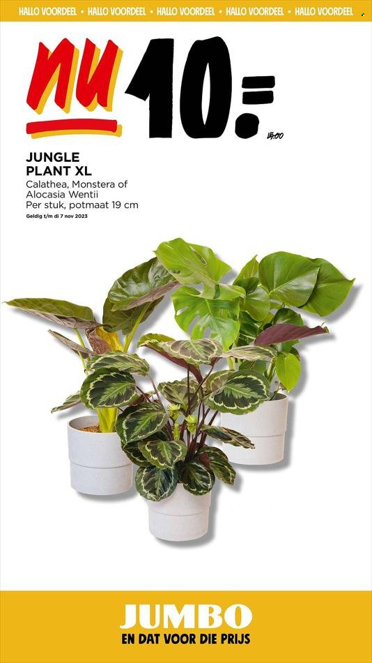 Jumbo-aanbieding - 1-11-2023 - 7-11-2023. Pagina 35