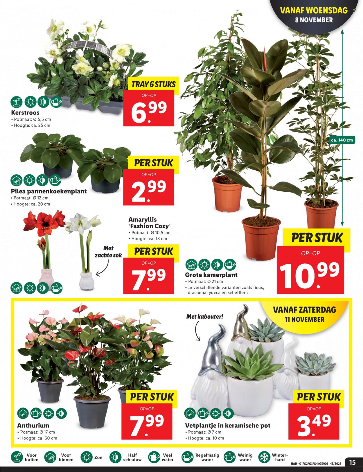 Lidl-aanbieding - 6-11-2023 - 12-11-2023. Pagina 15