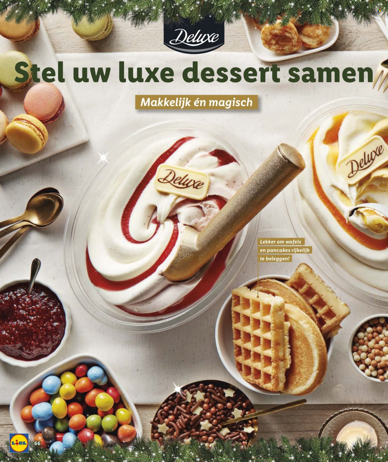 Lidl-aanbieding. Pagina 66