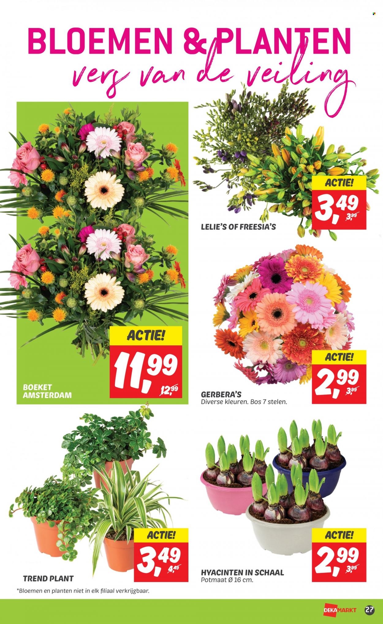 DekaMarkt-aanbieding - 7-11-2023 - 13-11-2023. Pagina 29