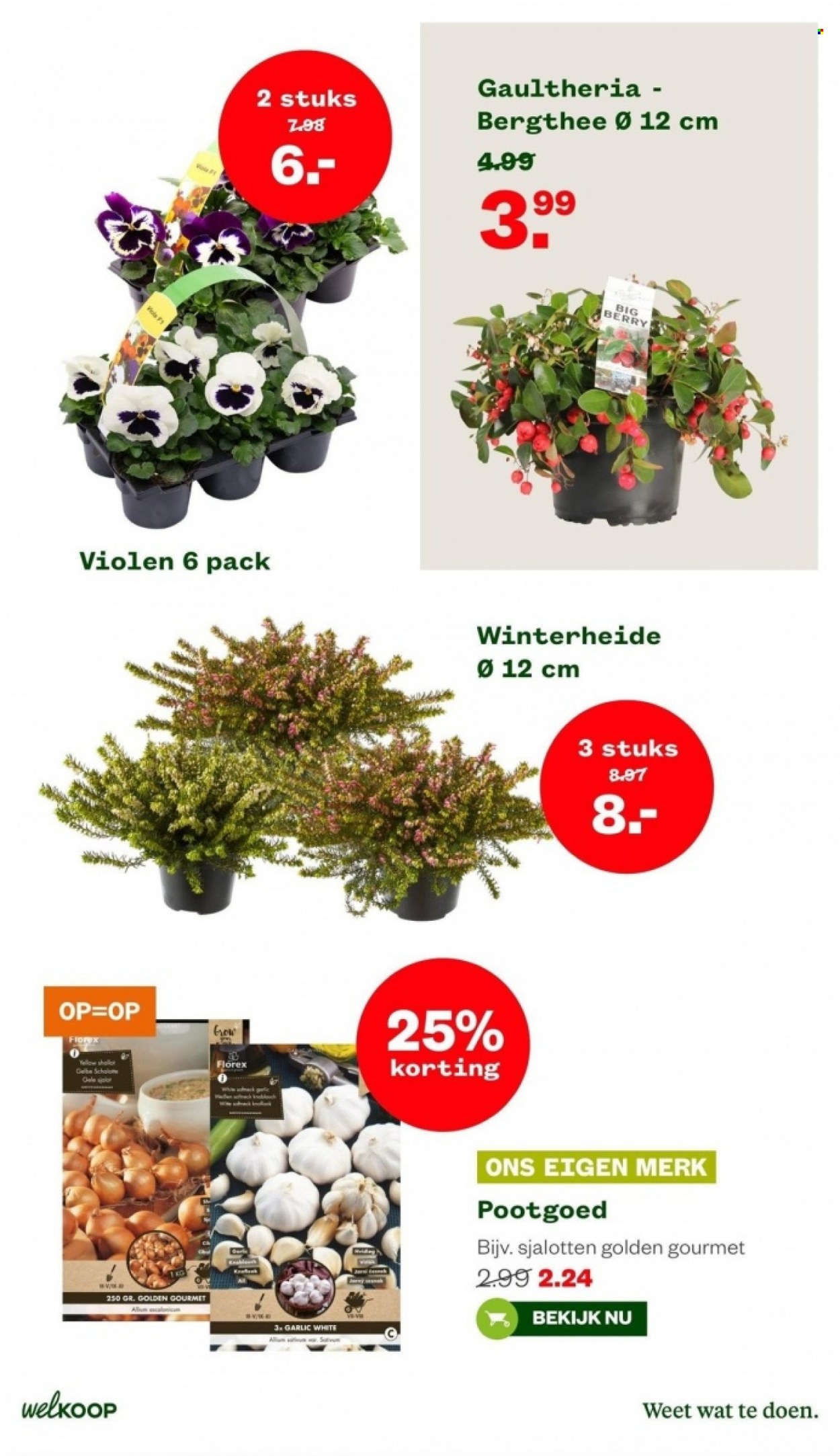 Welkoop-aanbieding - 6-11-2023 - 12-11-2023. Pagina 25
