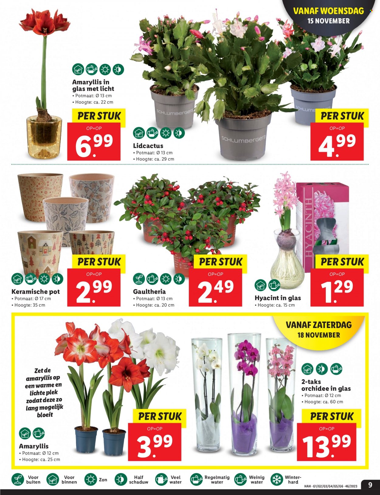Lidl-aanbieding - 13-11-2023 - 19-11-2023. Pagina 9