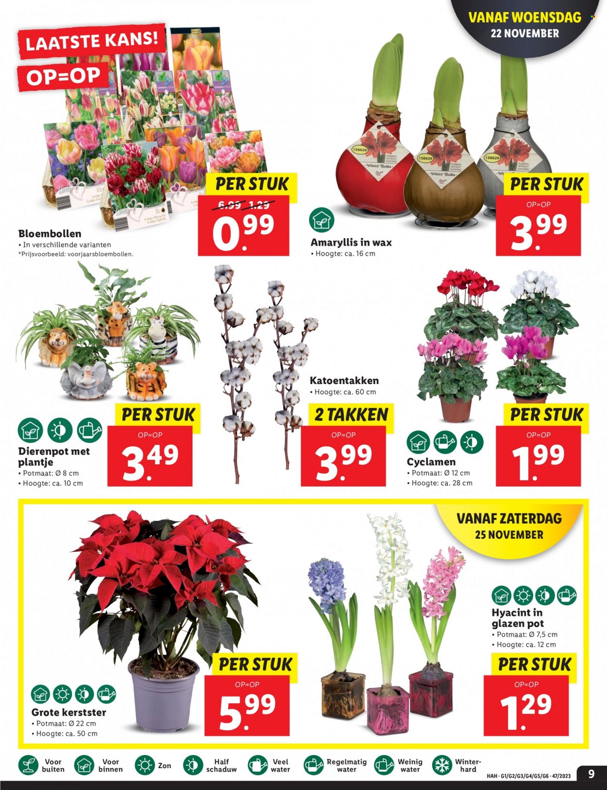 Lidl-aanbieding - 20-11-2023 - 26-11-2023. Pagina 9