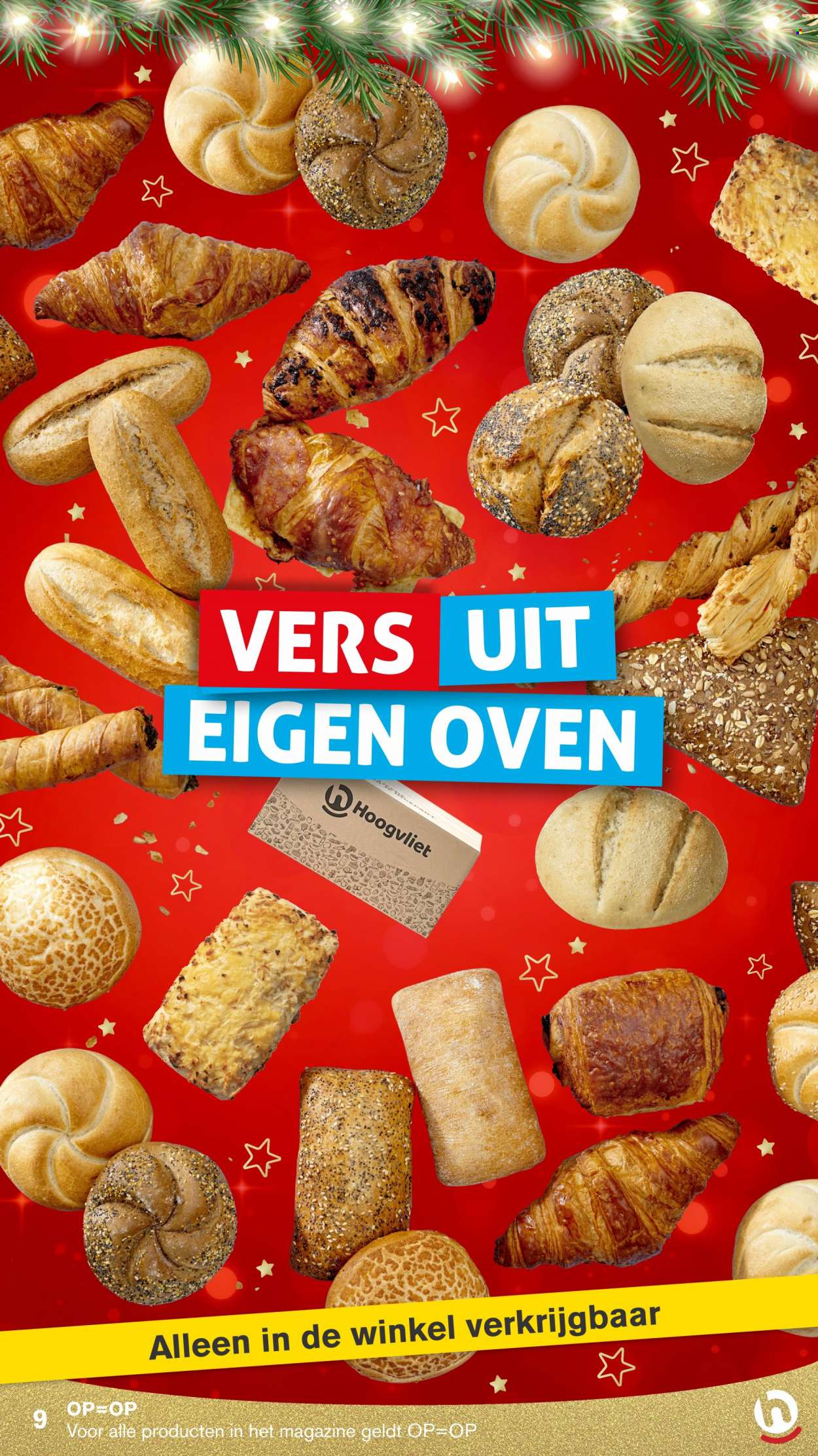 Hoogvliet-aanbieding. Pagina 9