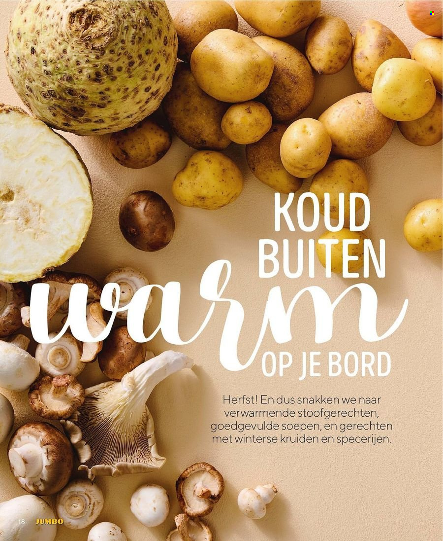 Jumbo-aanbieding - 30-11-2023 - 31-12-2023. Pagina 29