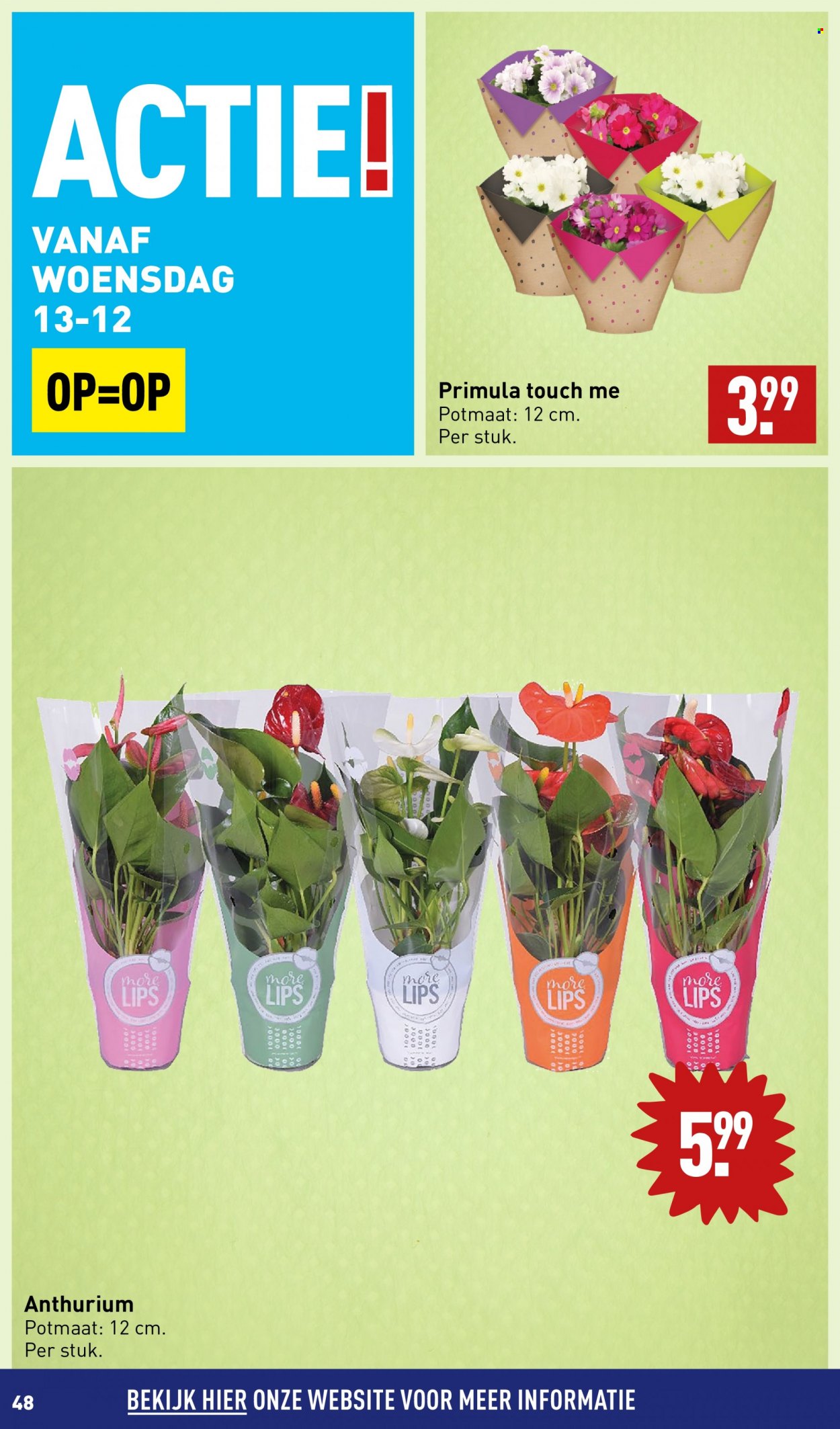 Aldi-aanbieding - 11-12-2023 - 17-12-2023. Pagina 48
