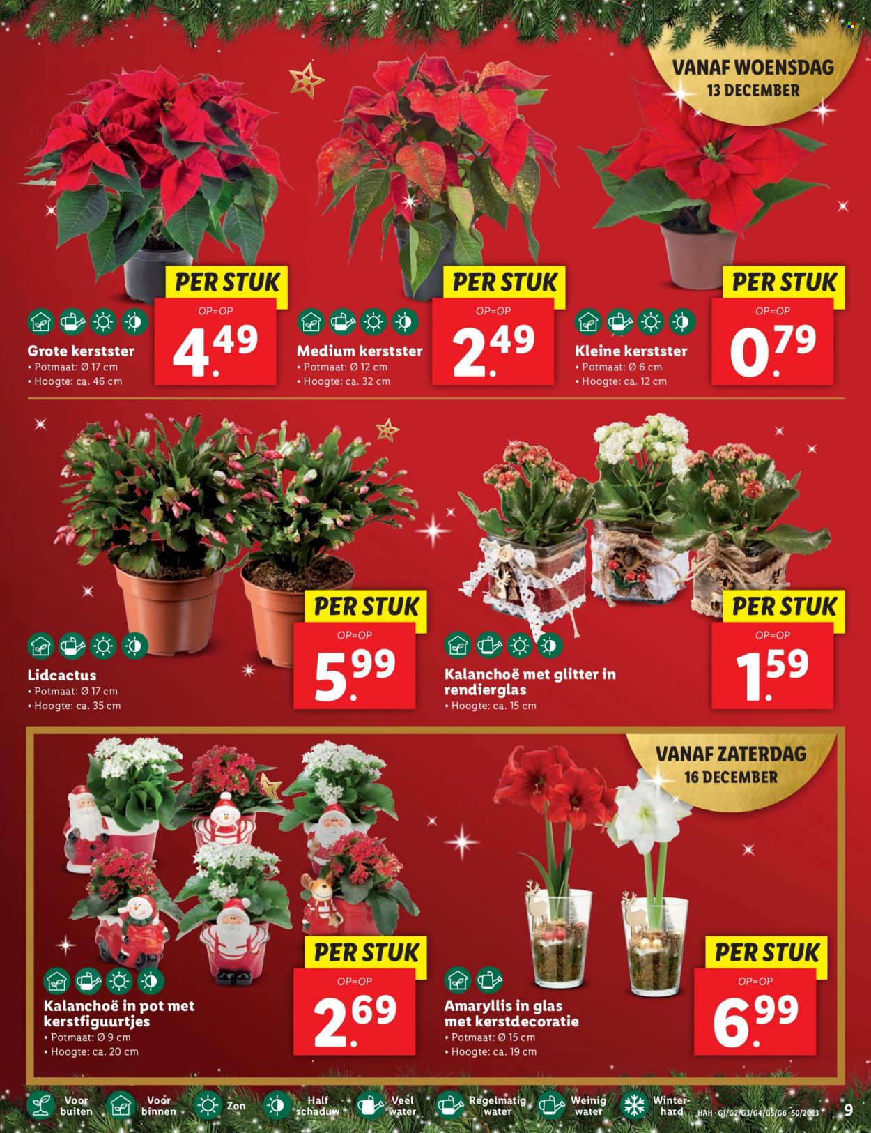 Lidl-aanbieding - 11-12-2023 - 17-12-2023. Pagina 9