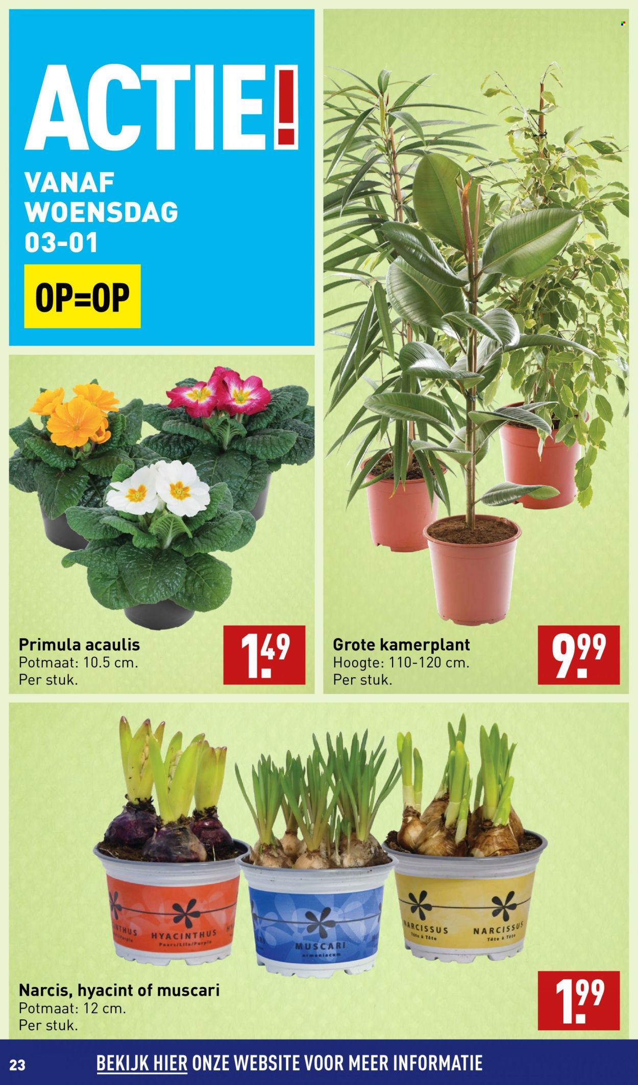 Aldi-aanbieding - 2-1-2024 - 7-1-2024. Pagina 23