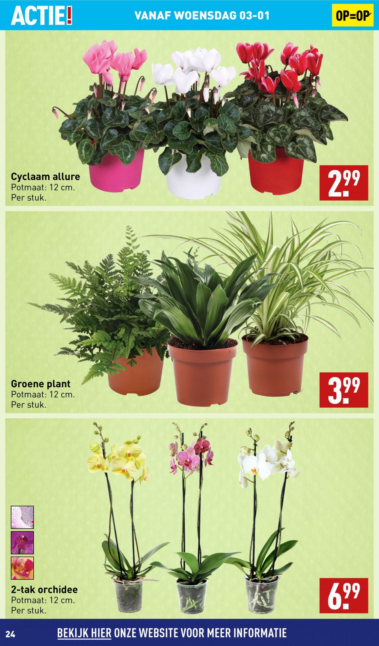 Aldi-aanbieding - 2-1-2024 - 7-1-2024. Pagina 24