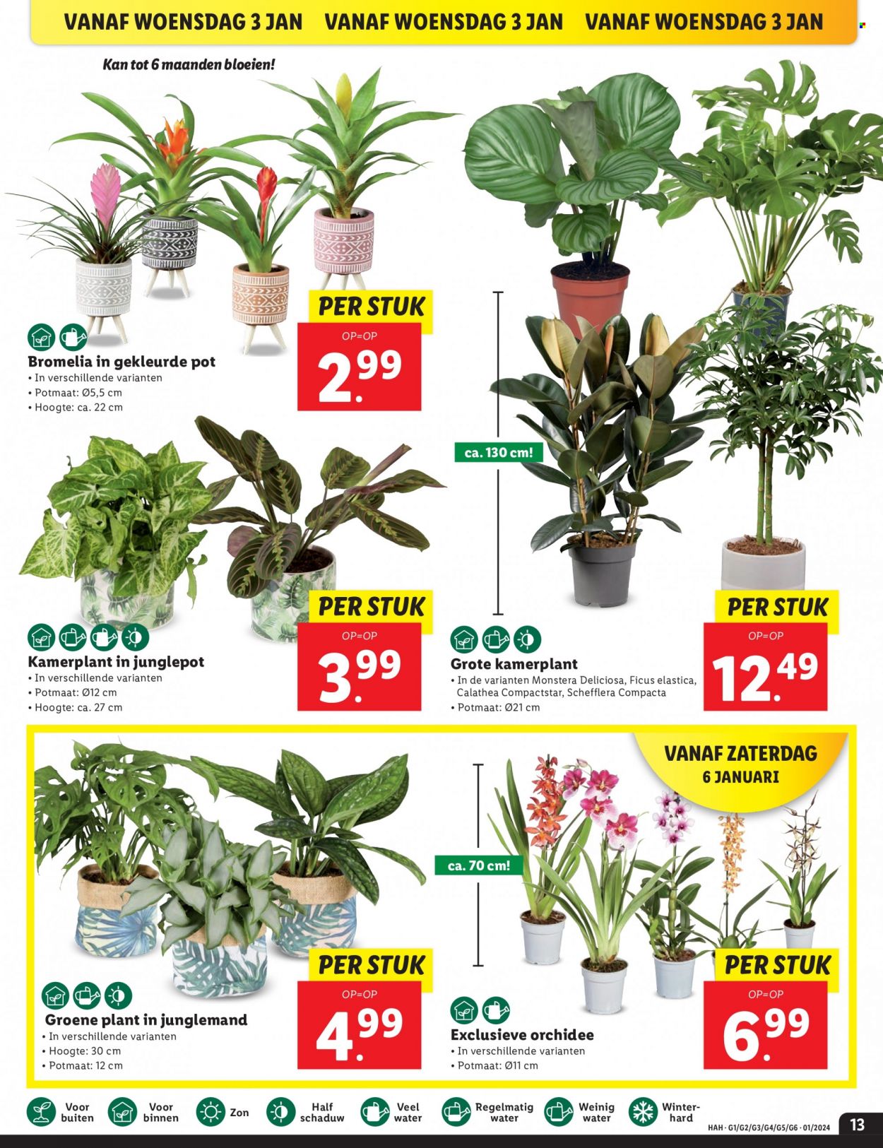 Lidl-aanbieding - 2-1-2024 - 7-1-2024. Pagina 13