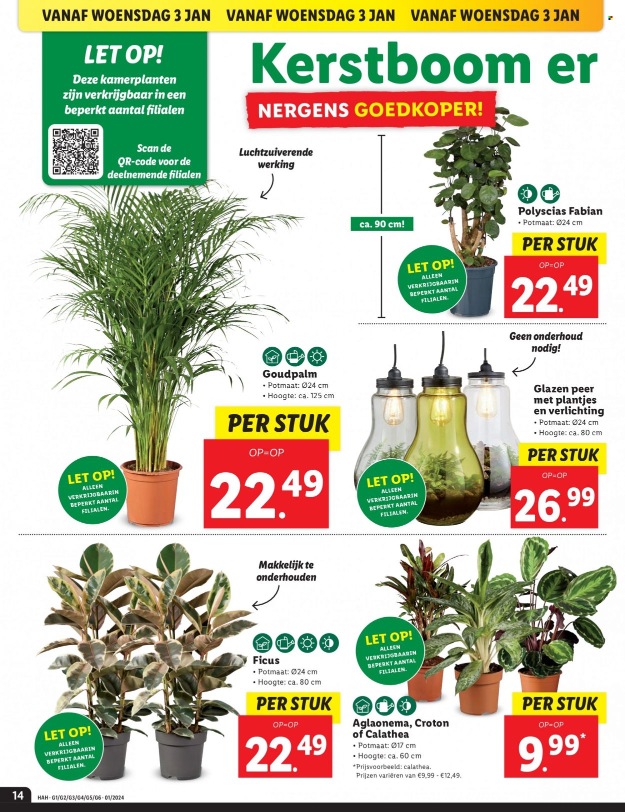 Lidl-aanbieding - 2-1-2024 - 7-1-2024. Pagina 14