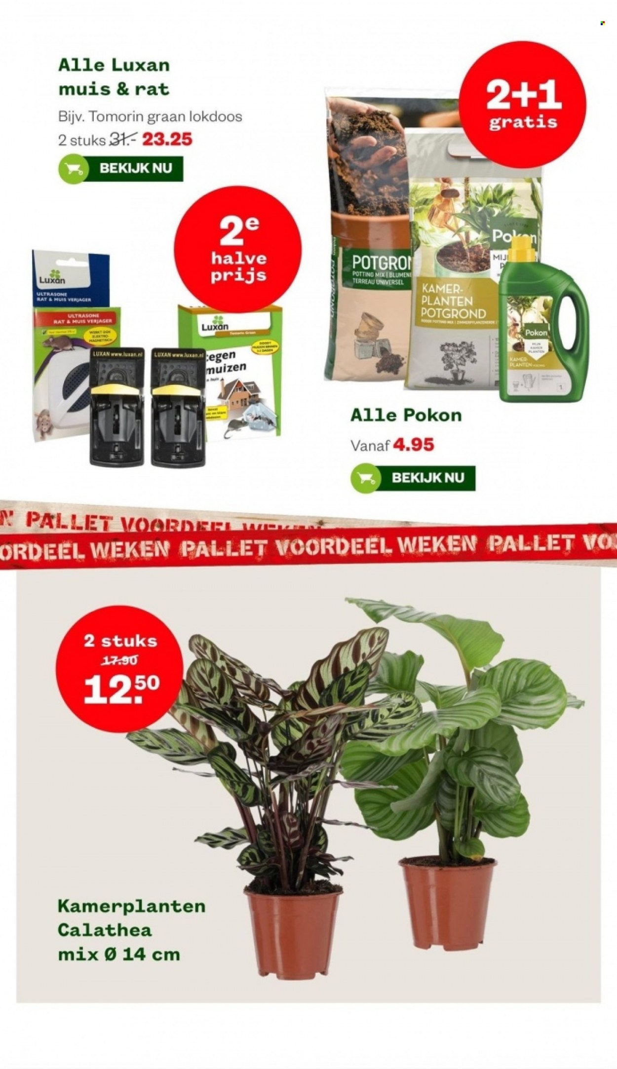Welkoop-aanbieding - 8-1-2024 - 14-1-2024. Pagina 14