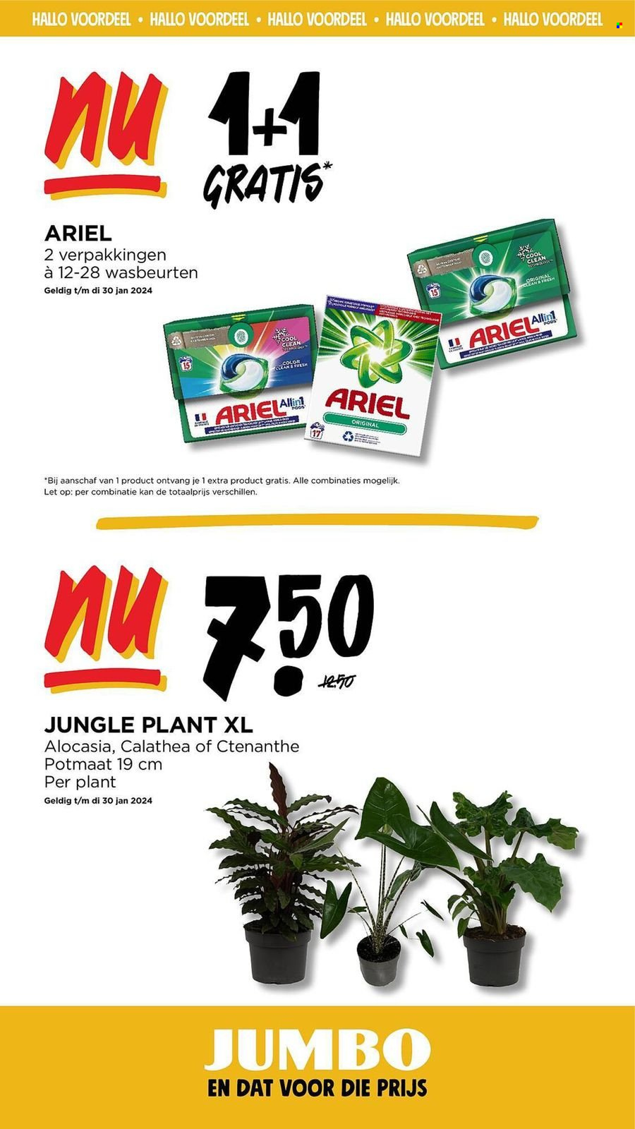 Jumbo-aanbieding - 10-1-2024 - 16-1-2024. Pagina 32