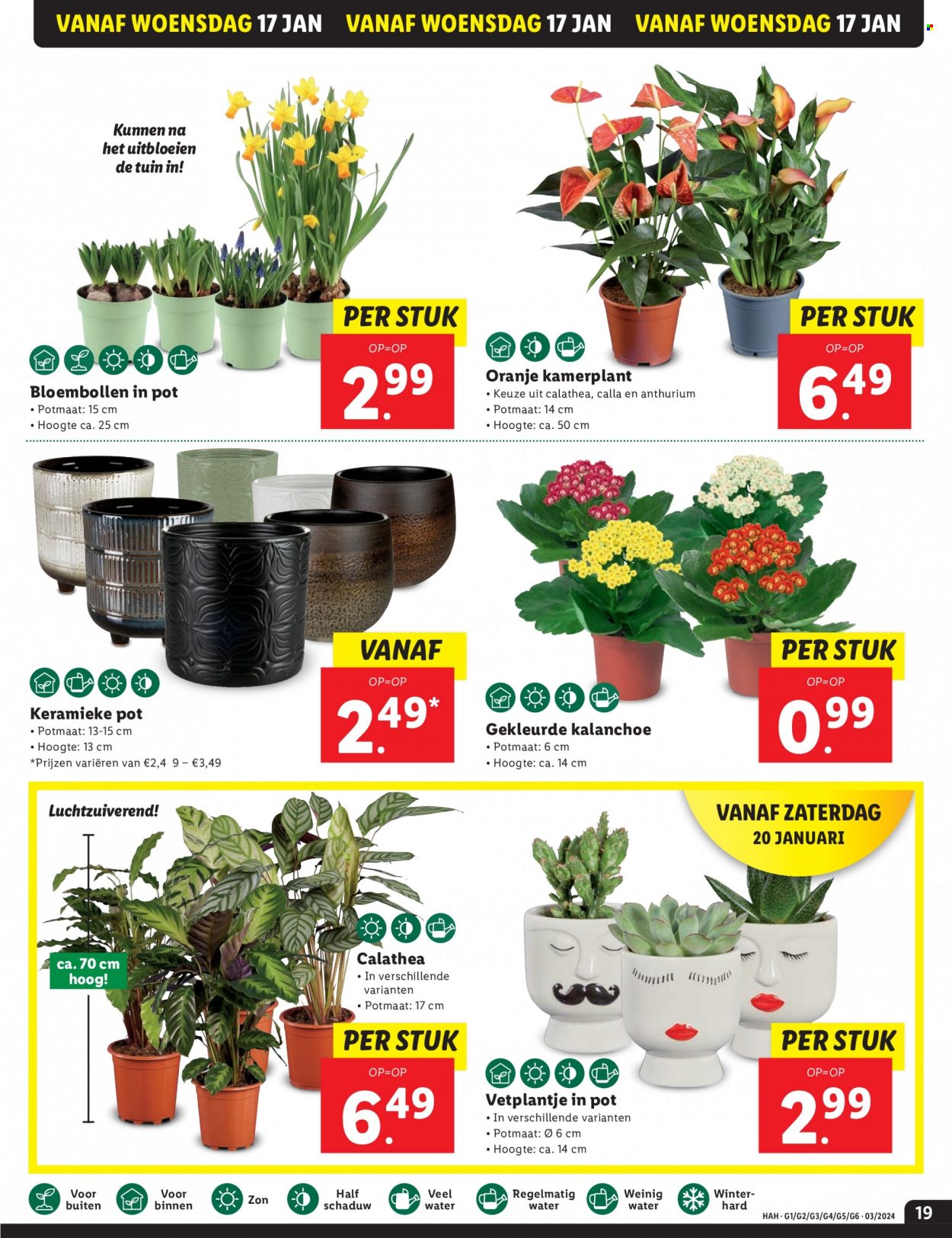 Lidl-aanbieding - 15-1-2024 - 21-1-2024. Pagina 19