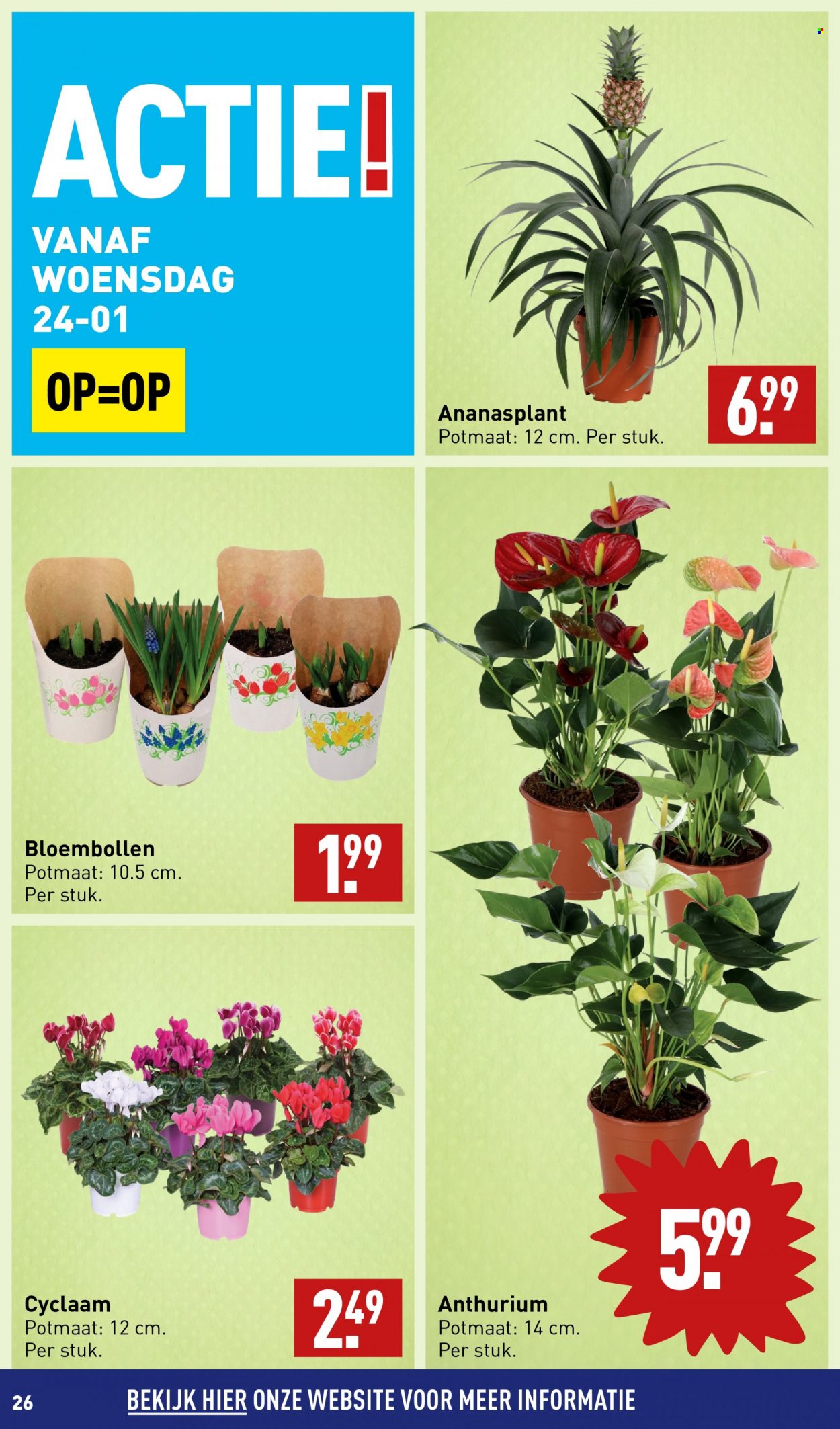 Aldi-aanbieding - 22-1-2024 - 28-1-2024. Pagina 26