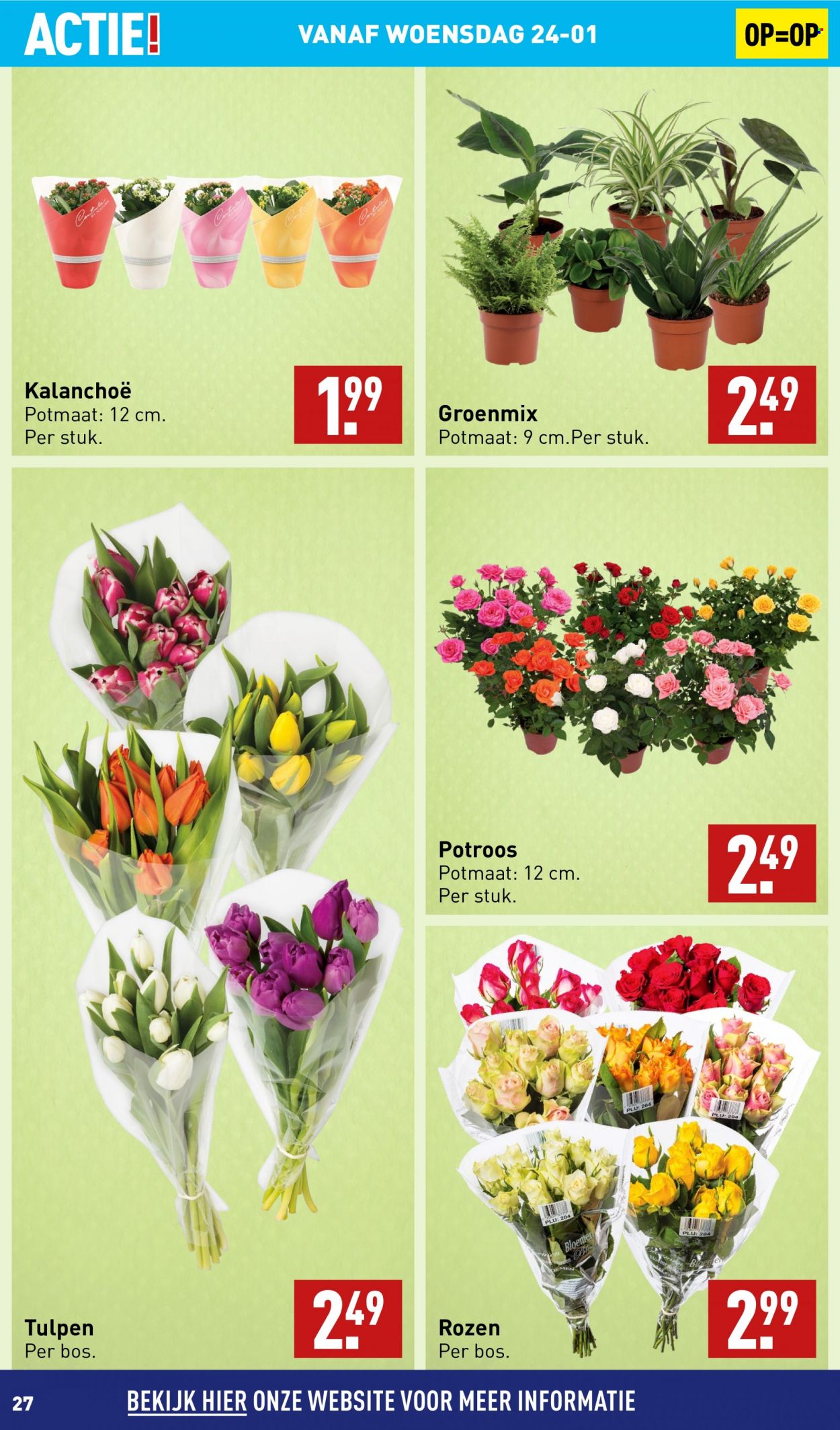 Aldi-aanbieding - 22-1-2024 - 28-1-2024. Pagina 27