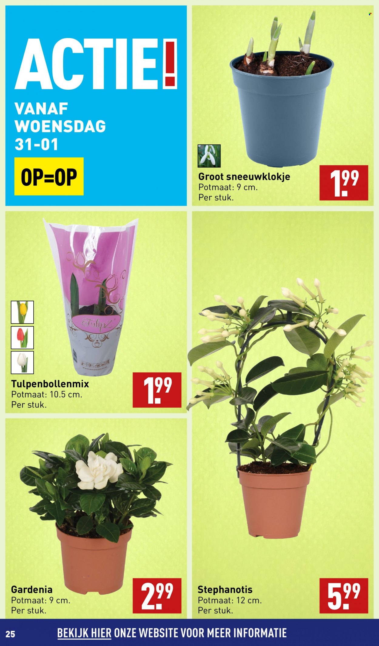 Aldi-aanbieding - 29-1-2024 - 4-2-2024. Pagina 25