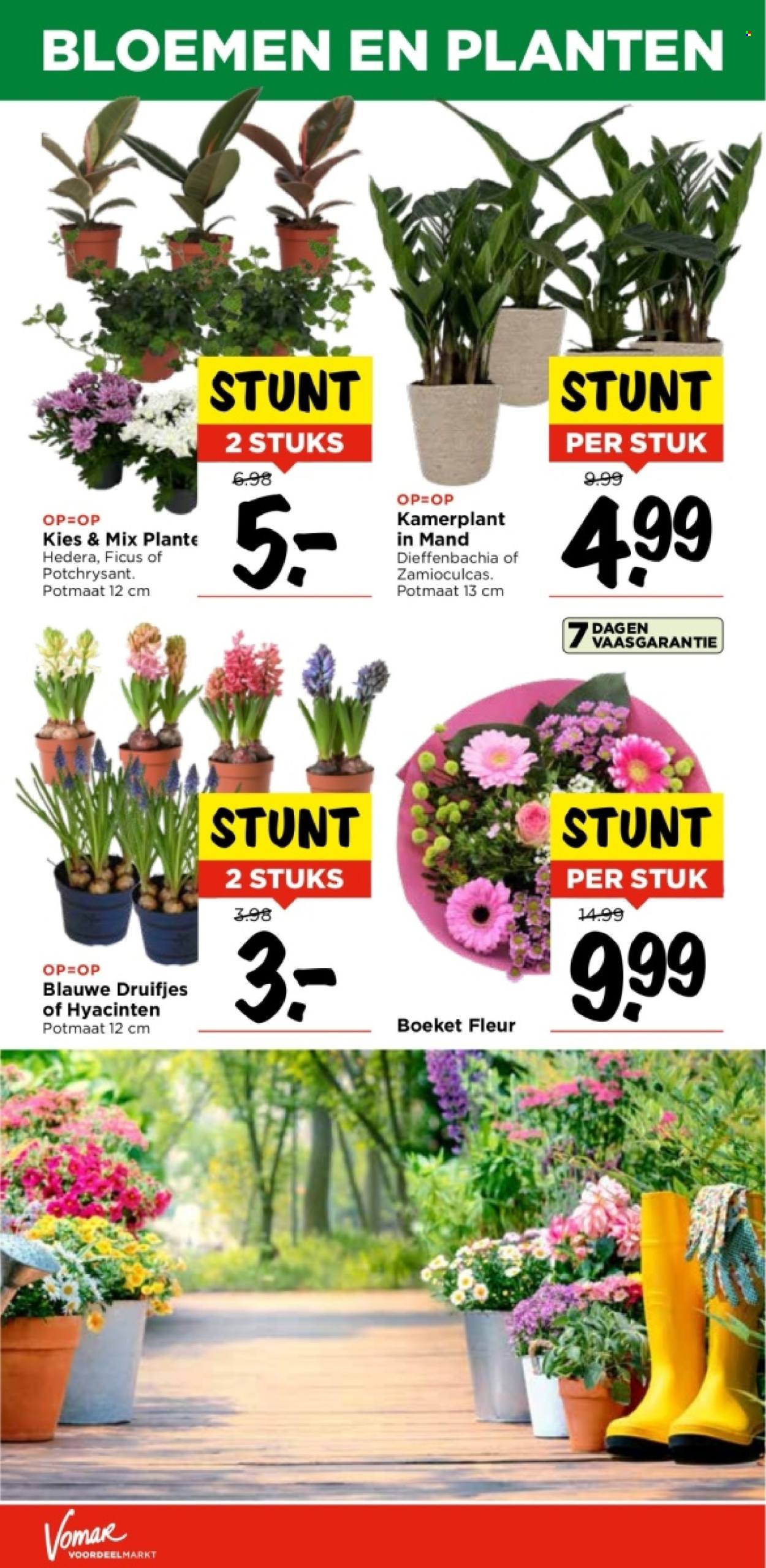 Vomar-aanbieding - 28-1-2024 - 3-2-2024. Pagina 25