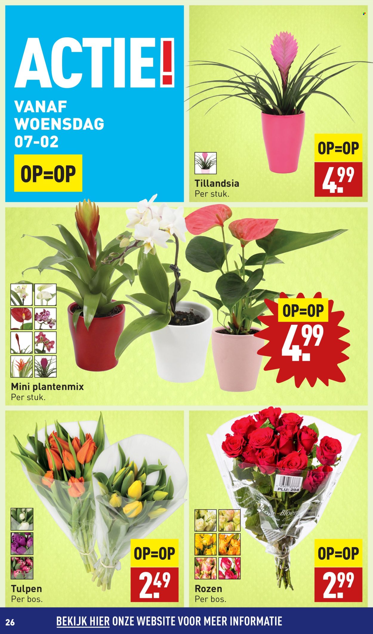 Aldi-aanbieding - 5-2-2024 - 11-2-2024. Pagina 26