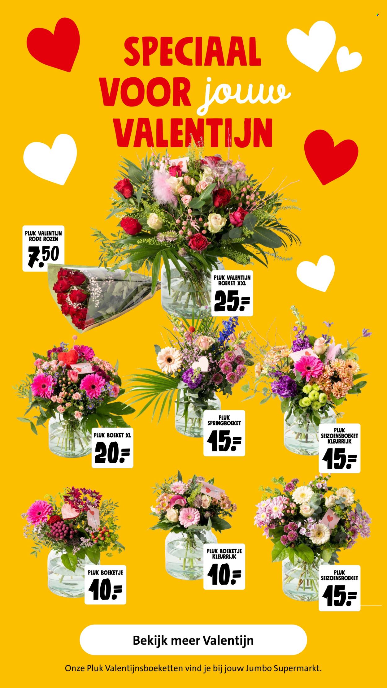 Jumbo-aanbieding - 7-2-2024 - 13-2-2024. Pagina 27