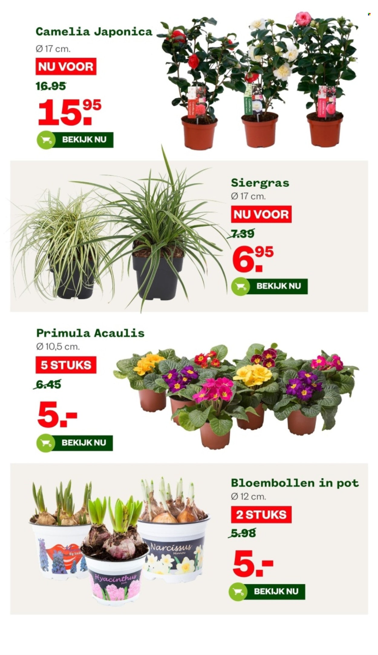 Welkoop-aanbieding - 12-2-2024 - 25-2-2024. Pagina 18