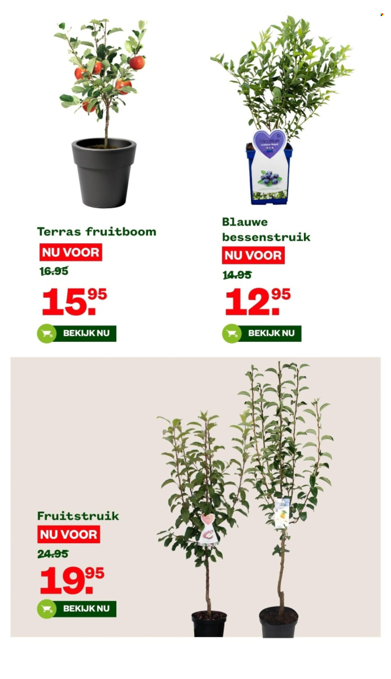 Welkoop-aanbieding - 12-2-2024 - 25-2-2024. Pagina 20