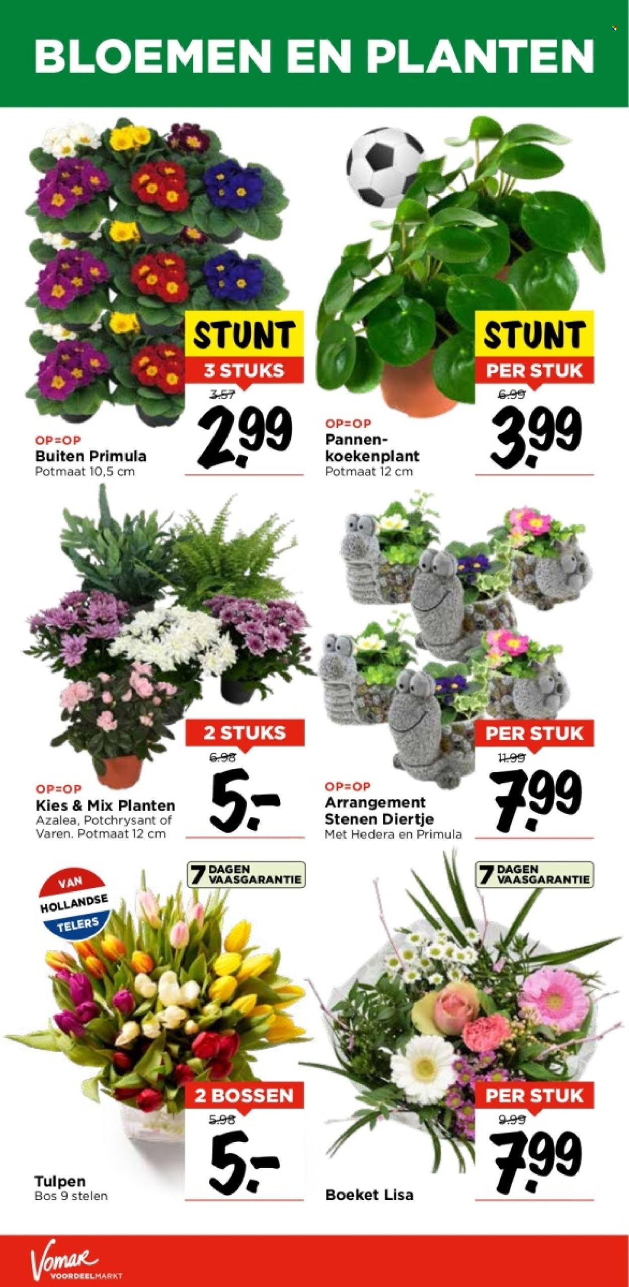 Vomar-aanbieding - 18-2-2024 - 24-2-2024. Pagina 32