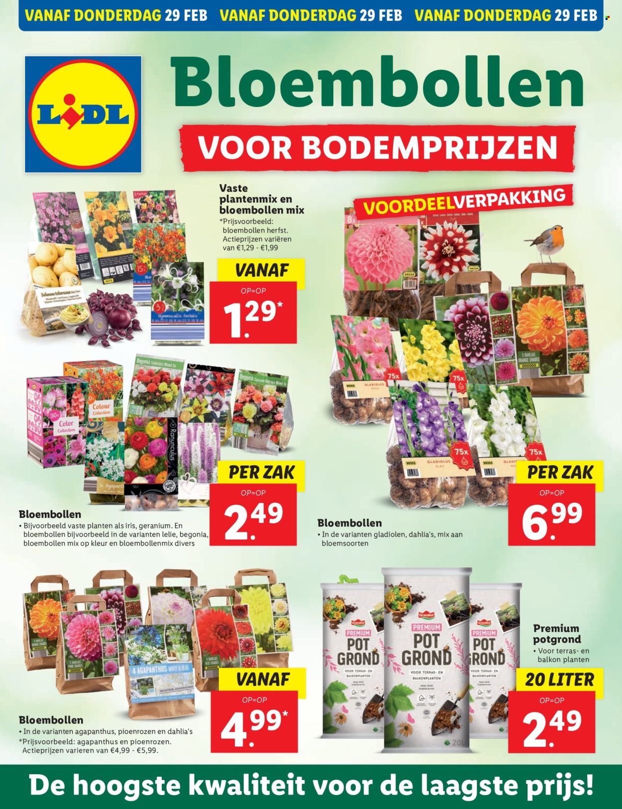 Lidl-aanbieding - 26-2-2024 - 3-3-2024. Pagina 32
