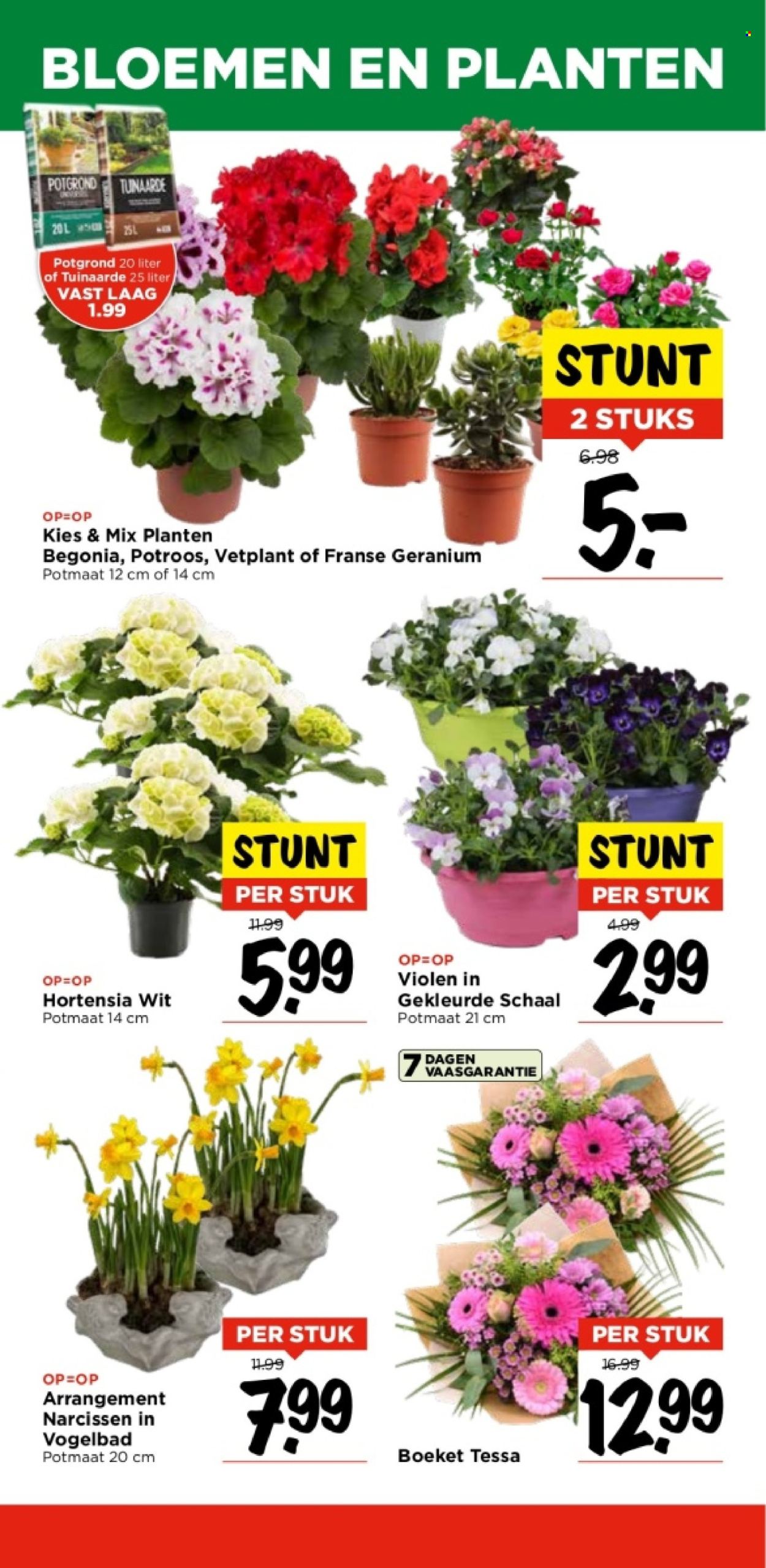 Vomar-aanbieding - 25-2-2024 - 2-3-2024. Pagina 42
