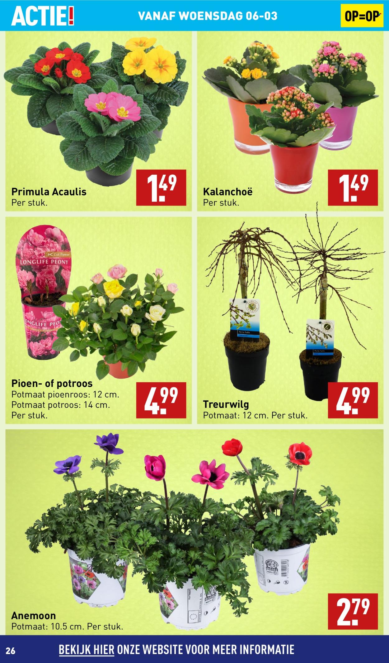 Aldi-aanbieding - 4-3-2024 - 10-3-2024. Pagina 26