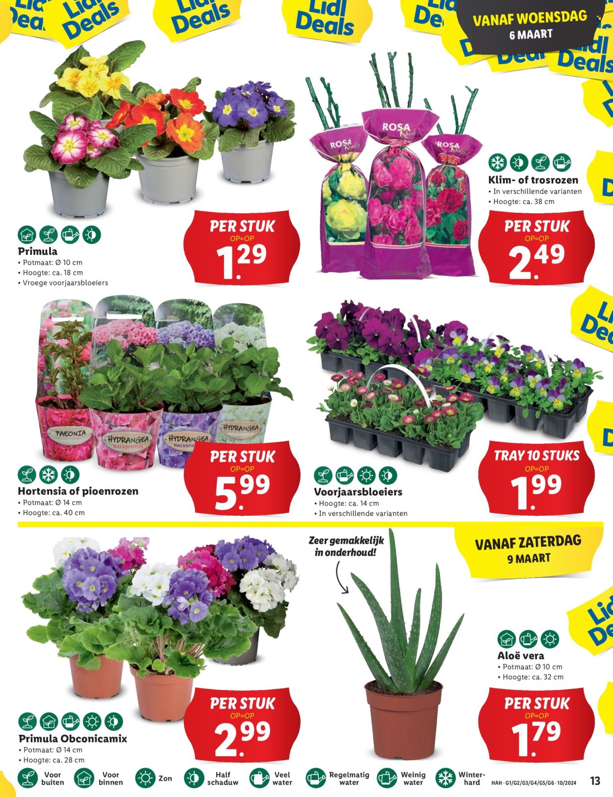 Lidl-aanbieding - 4-3-2024 - 10-3-2024. Pagina 13