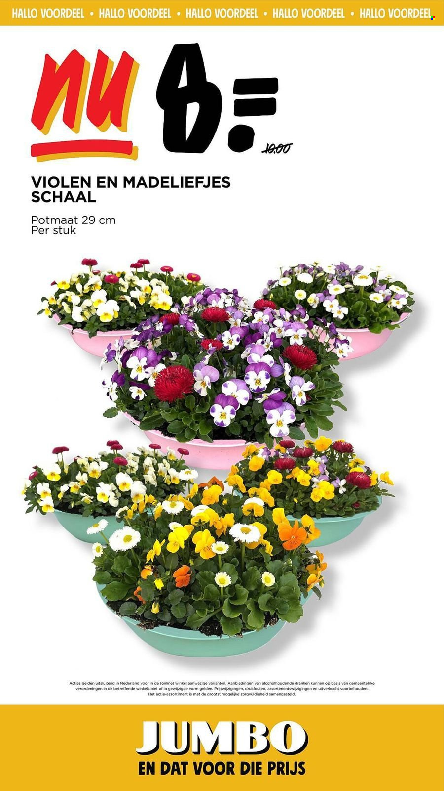 Jumbo-aanbieding - 6-3-2024 - 12-3-2024. Pagina 21